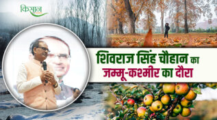 Shivraj Singh Chouhan's Visit To Jammu And Kashmir: केसर उत्पादन से लेकर क्लीन प्लांट सेंटर तक केंद्र सरकार बदलेगी किसानों की तकदीर!