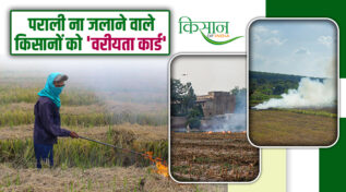 Unique Initiative Of Amritsar Administration: पराली न जलाने वाले किसानों को मिलेगा 'वरीयता कार्ड', मोटे फायदे भी !