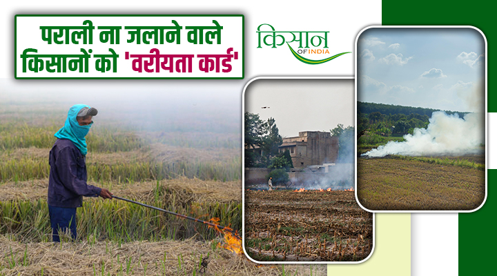 Unique Initiative Of Amritsar Administration: पराली न जलाने वाले किसानों को मिलेगा 'वरीयता कार्ड', मोटे फायदे भी !