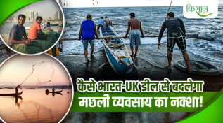 CETA Agreement : भारतीय मछुआरों के लिए सुनहरा मौका! बिना टैक्स अब ब्रिटेन को भेजें झींगा-मछली, 70 फीसदी तक बढ़ेगी कमाई