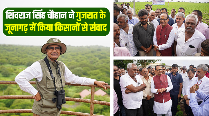 Agriculture Minister Shivraj Singh Chouhan's Gujarat Visit: मूंगफली के खेत से लेकर गिर के जंगल तक, किसानों से की दिलचस्प चर्चा