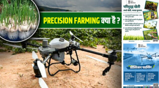 What is Precision Farming: स्मार्ट तकनीक से Agriculture Revolution! क्यों ये है भविष्य की खेती? पढ़ें डीटेल में