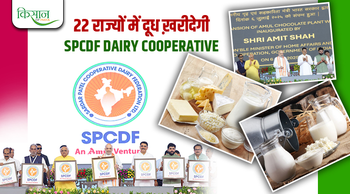 Sardar Patel Co-operative Dairy Federation: देश के डेयरी किसानों के लिए गेम-चेंजर, 5 लाख गांवों को मिलेगा फायदा