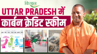 CM योगी का 'Green Gold' विजन: Carbon Credits से उत्तर प्रदेश बनेगा अमीर,अयोध्या बनेगा 'ग्रीन सिटी'