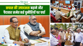 Revolution In Cotton Farming: कृषि मंत्री ने एक राष्ट्र, एक कृषि, एक टीम' का दिया नारा, कहा- किसानों के साथ मिलकर बढ़ाएंगे उत्पादकता