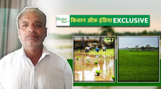 धान से दाल तक, खेत से बाज़ार तक: जानिए कैसे प्रगतिशील किसान चरन सिंह ने संकर धान से बदली अपनी किस्मत