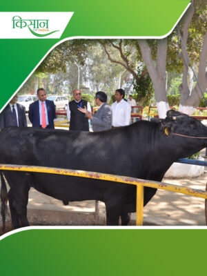 National Dairy Research Institute