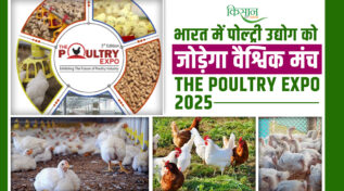 The Poultry Expo 2025