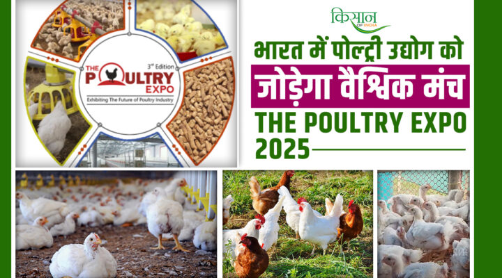 The Poultry Expo 2025