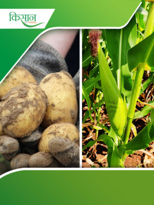 agricultural sector Cover