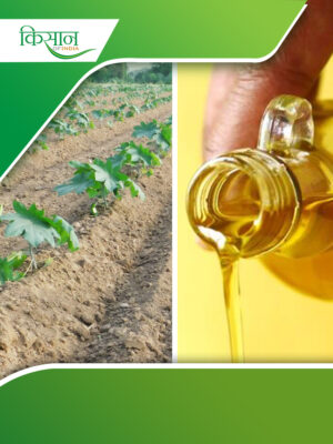 castor oil