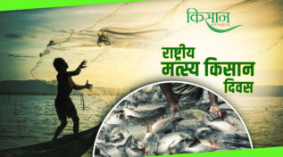 National Fish Farmers Day 2025: भारत मना रहा नीली क्रांति का जश्न, मछली पालन में 10 साल में दोगुना हुआ उत्पादन
