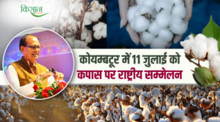 National Conference On Cotton :11 जुलाई को कोयम्बटूर में कपास क्रांति की तैयारी, किसान भी भेज सकते हैं सरकार को अपने सुझाव