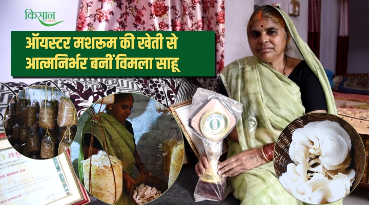 ऑयस्टर मशरूम की खेती oyster mushroom farming