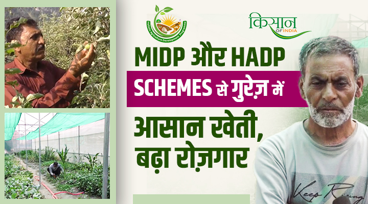गुरेज़ घाटी में MIDP और HADP Schemes