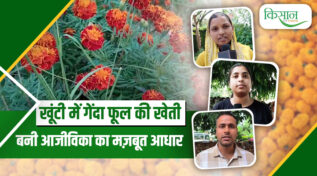 गेंदा फूल की खेती genda phool ki kheti