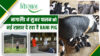 नागालैंड में रानी सुअर Rani Pig in Nagaland