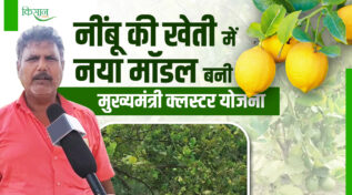 नींबू की खेती lemon farming