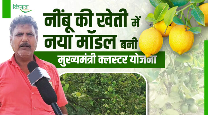 नींबू की खेती lemon farming