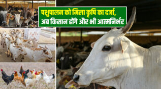 पशुपालन को कृषि का दर्जा Animal husbandry gets agricultural Status