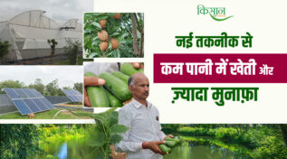 पॉलीहाउस में खेती farming in polyhouse