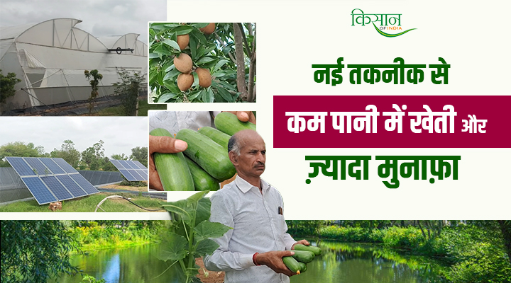 पॉलीहाउस में खेती farming in polyhouse