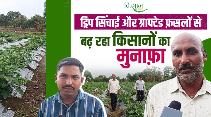 राष्ट्रीय कृषि विकास योजना Rashtriya Krishi Vikas Yojana