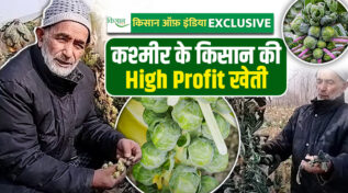 विदेशी सब्ज़ियों की खेती में पुलवामा
