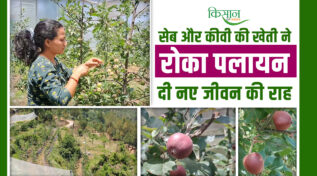 सेब और कीवी की खेती सविता रावत apple and kiwi farming uttarakhand savita rawat
