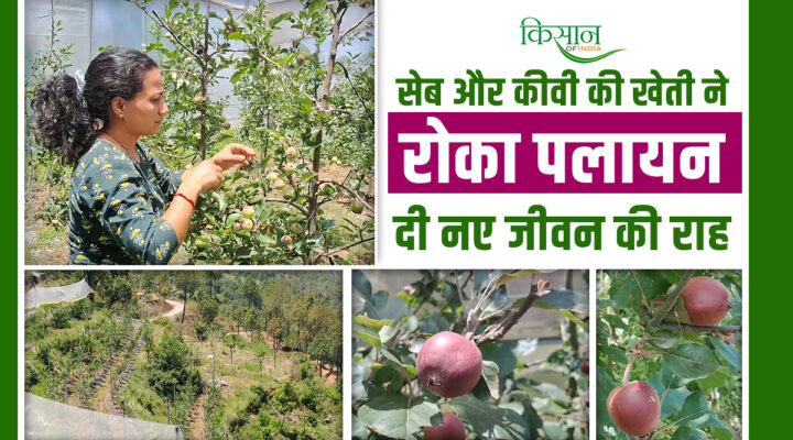 सेब और कीवी की खेती सविता रावत apple and kiwi farming uttarakhand savita rawat