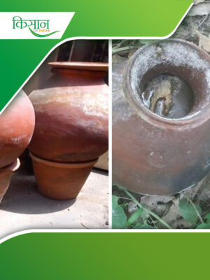Chemical Fertilizers Cover