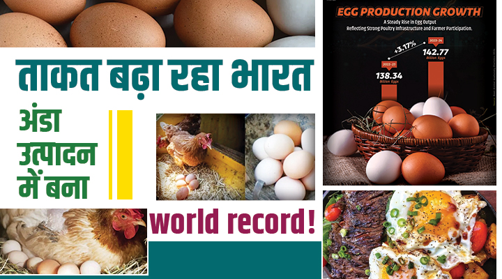 भारत ने Egg Production में मारी बाज़ी, लेकिन 4 रुपये वाला अंडा या 30 रुपये वाला कौन सा बेस्ट?अंडे के नाम पर ठग न जाएं, यहां है पूरी गाइड