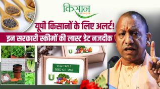 फ्री बीज से लेकर फसल बीमा तक! योगी सरकार दे रही किसानों को दोहरा लाभ, 31 अगस्त है लास्ट डेट