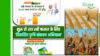 Viksit Krishi Sankalp Abhiyan For Rabi Crop: कृषि मंत्री शिवराज सिंह चौहान ने किसानों के लिए शुरू किए बड़े अभियान!