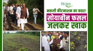 किसानों की सोयाबीन फसल को 'ज़हरीली' दवा ने जलाया,कृषि मंत्री शिवराज सिंह ने किया औचक निरीक्षण, कंपनी पर भड़के