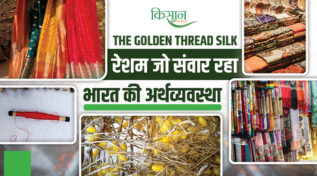 Silk: भारत की विरासत का 'Golden Fabric' जो हज़ार साल से भी ज़्यादा पुराना,अर्थव्यवस्था का स्टाइलिश सपोर्ट सिस्टम