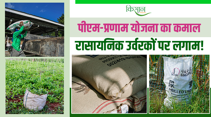 Right Quantity, Right Time, Right Fertilizer: संतुलित खाद प्रबंधन से किसानों की समृद्धि: बदल रहा देश का कृषि लैंडस्केप