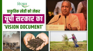 Green Revolution In Uttar Pradesh: यूपी सरकार की Natural Farming योजना से बदलेगी किसानों की तकदीर