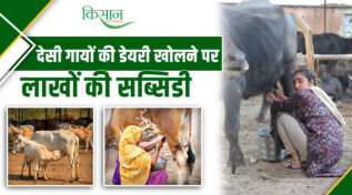 Mini Nandini Krishak Samridhi Yojana: उत्तर प्रदेश के डेयरी किसानों के लिए मिनी नंदिनी योजना, पाएं 11.80 लाख तक की सब्सिडी