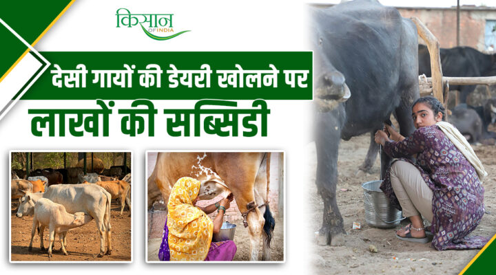 Mini Nandini Krishak Samridhi Yojana: उत्तर प्रदेश के डेयरी किसानों के लिए मिनी नंदिनी योजना, पाएं 11.80 लाख तक की सब्सिडी