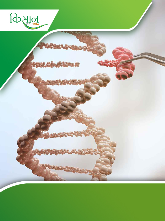 जानिए क्या है Genetically modified फसलें ?