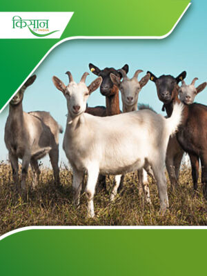 Goat Research Institute Cover