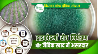 Trichoderma ट्राइकोडर्मा