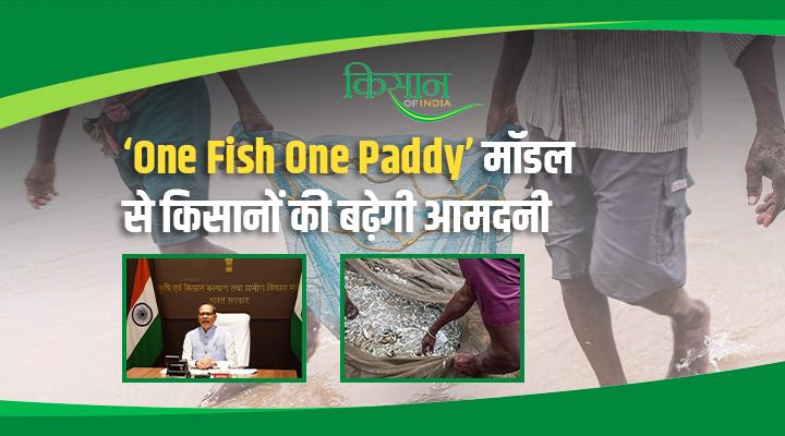 One Fish, One Paddy: ‘एक मछली, एक धान’ मॉडल से बदलेगी किसानों की किस्मत,मछुआरों के लिए सरकार की पायलट स्कीम