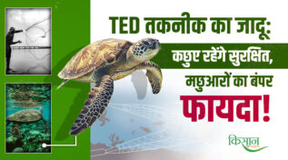 समुद्री कछुओं को बचाने का बड़ा कदम: अब ट्रॉलरों में अनिवार्य होंगे Turtle Excluder Device, मछुआरों का होगा फायदा