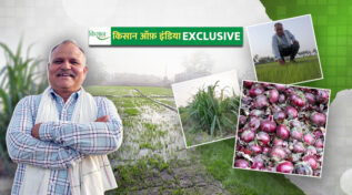 गन्ने के साथ प्याज की खेती Intercropping of Onion in Sugarcane