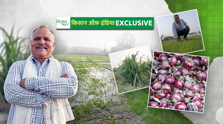 गन्ने के साथ प्याज की खेती Intercropping of Onion in Sugarcane