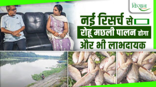रोहू मछली पालन rohu fish disease solution