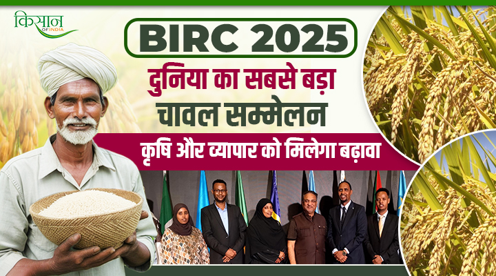 दिल्ली में होगा India International Rice Conferenc: किसानों को मिलेगा ग्लोबल बाज़ार,एक्सपोर्ट को मिलेगी नई रफ़्तार