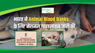Milestone In Veterinary History: भारत में पशुओं के लिए Blood Donation और Blood Banks पर पहला राष्ट्रीय दिशा-निर्देश जारी